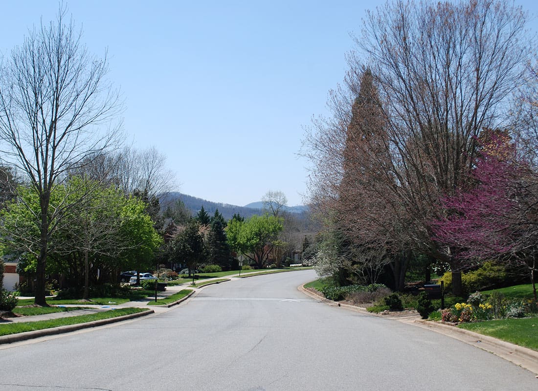 Asheville, NC - Residential Neighborhood with Homes and Green Landscaping in Asheville North Carolina on a Sunny Day