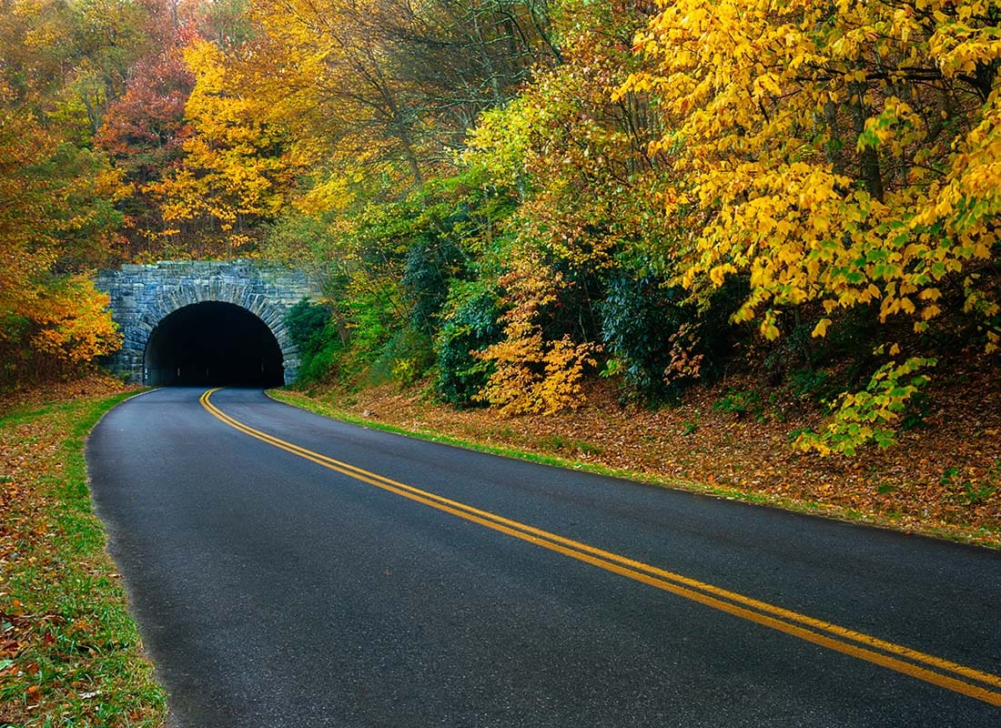 Candler, NC - Scenic Empty Road Surrounded by Colorful Fall Trees with a Tunnel in Candler North Carolina